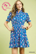 Bluebonnet Belle Dress