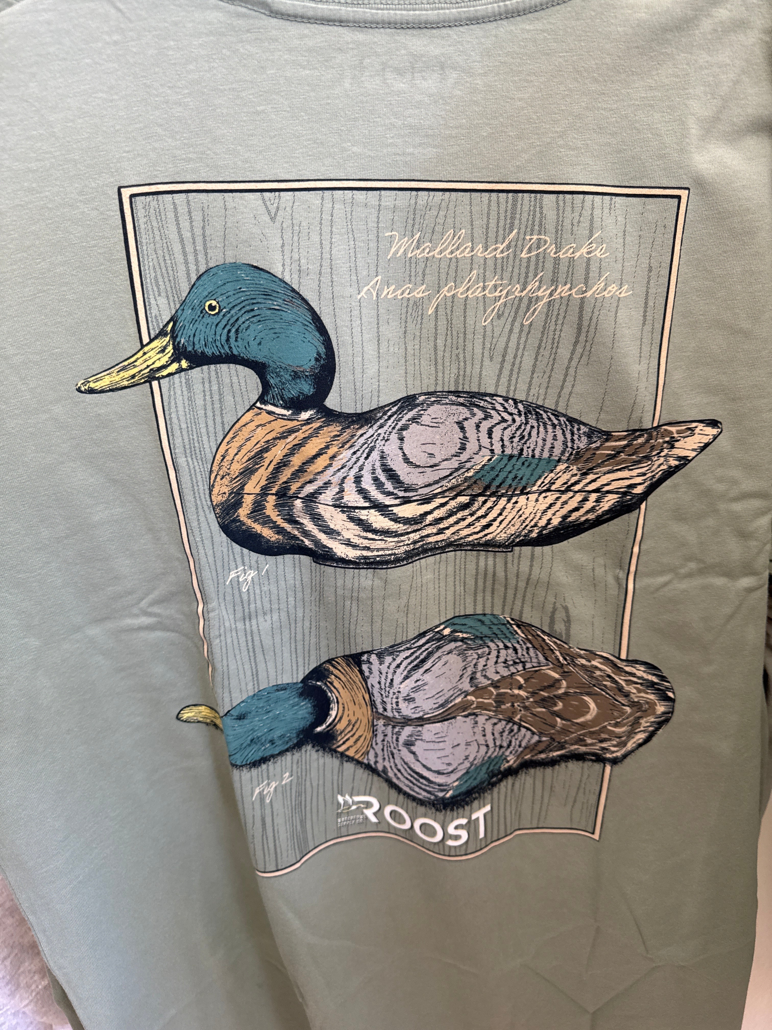 Roost Mallard