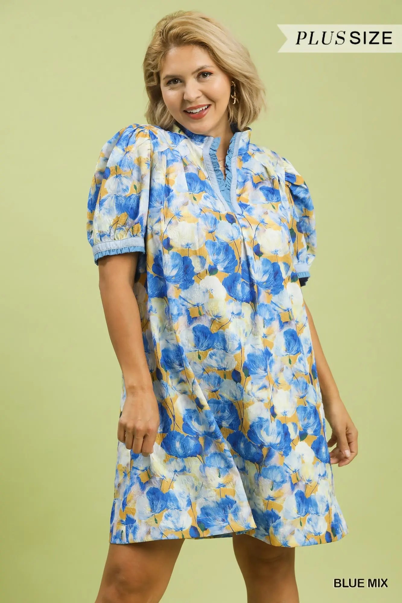 Bluebell Breeze Dress Plus